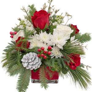 Winter's Embrace holiday floral arrangement featuring red roses, white chrysanthemums, red berries, frosted pinecone, and fresh evergreen foliage in a square glass vase by Sassafras Flowers.