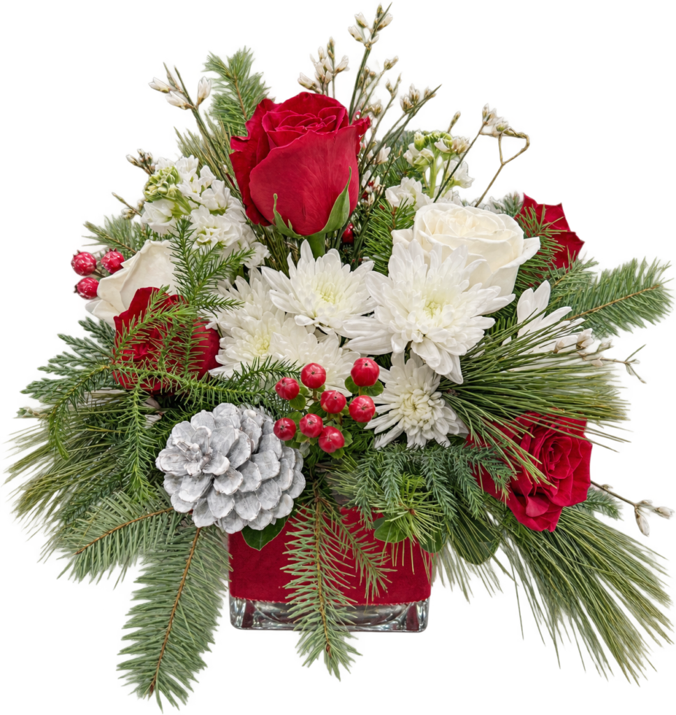 Winter's Embrace holiday floral arrangement featuring red roses, white chrysanthemums, red berries, frosted pinecone, and fresh evergreen foliage in a square glass vase by Sassafras Flowers.
