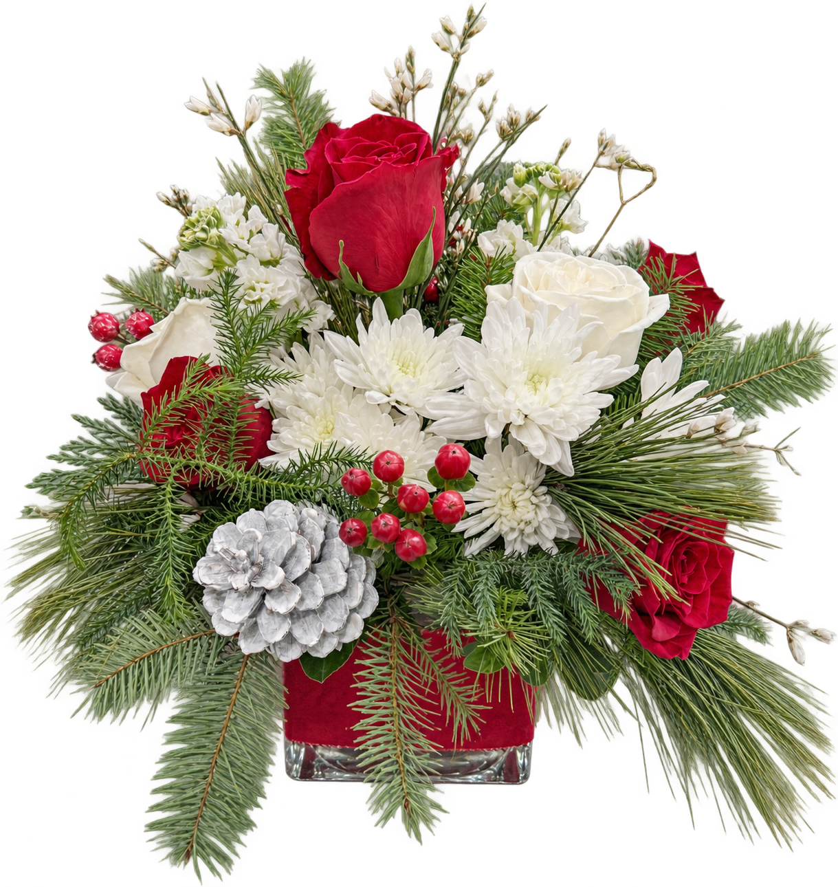 Winter's Embrace holiday floral arrangement featuring red roses, white chrysanthemums, red berries, frosted pinecone, and fresh evergreen foliage in a square glass vase by Sassafras Flowers.